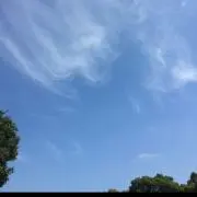 ことの画像