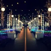 くるみの画像