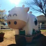 もとこ