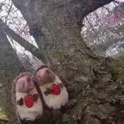 ❤️2点以上ご購入で20%OFF❤️の画像