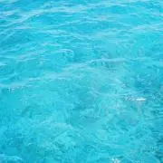 AOの画像