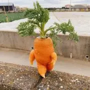 shiの画像