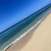 りーの画像