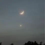 やまとの画像