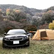 motokiの画像