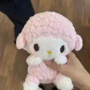 わさび/断捨離中の画像