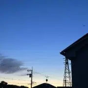 sararinko