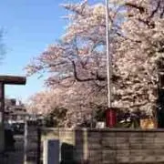 Takahashi Tetsu