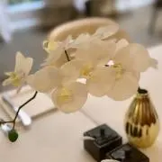 amの画像