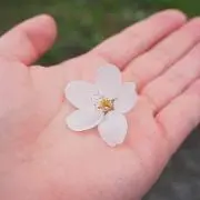yochin⚠︎プロフ必読⚠︎の画像