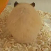 サチ(^-^)v
