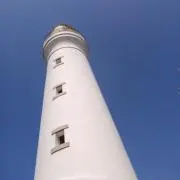 tim-tamの画像