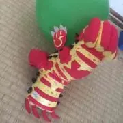 ykの画像