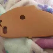 まみの画像