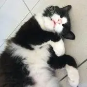 いと