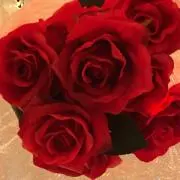 Kz★★の画像