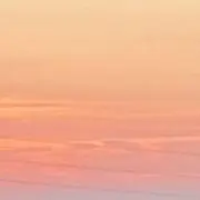 伊羅内千江莉の画像