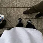 ベンジャミン プロフ必の画像