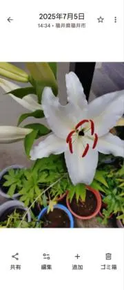 き。の画像