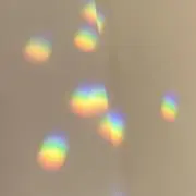MARUの画像