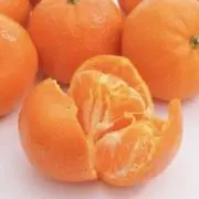 マーコットオレンジの画像