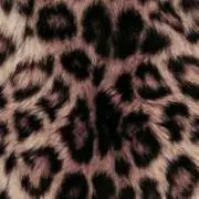 リリりの画像