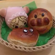 ELSAの画像