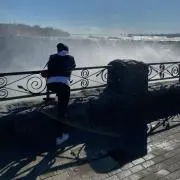 やすの画像