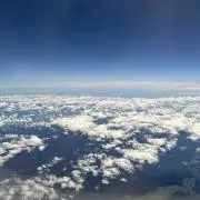 しろの画像
