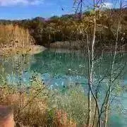 acoの画像