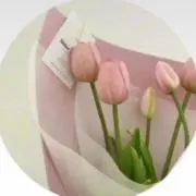 もも即購入大歓迎ですの画像