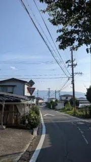 塩しおの画像