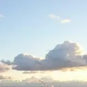 やっきー