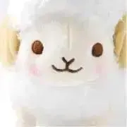 woollyの画像