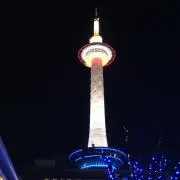 ココ1124
