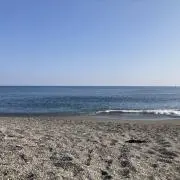 なかめぐ8972の画像