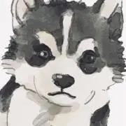 hujiの画像
