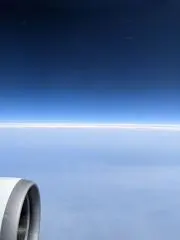 ゆっきーの画像