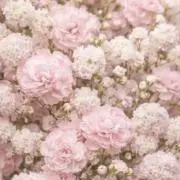 りくまるෆ‪.*・゜の画像