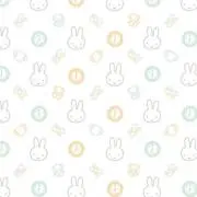 いっちゃんの画像
