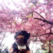 引越しの為コメ遅れます