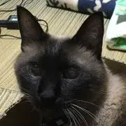 じゃむ3