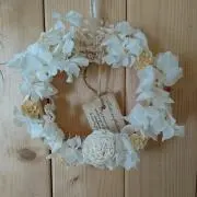 シホリンの画像