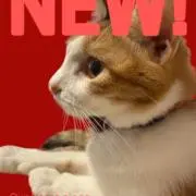 みそ　※プロフ確認くださいの画像