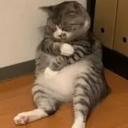 まあ