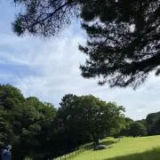 AKOの画像