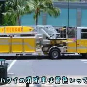 カナの画像