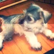 ❤︎の画像