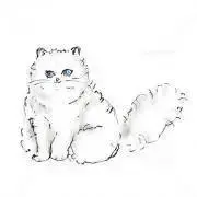 (*´◡`*)K フォロー割あり！の画像