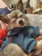うっつー